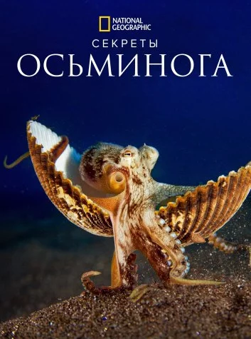 Секреты осьминога Постер