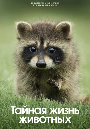 Тайная жизнь животных Постер