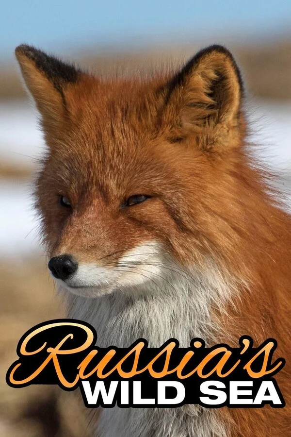 Дикое море России Постер